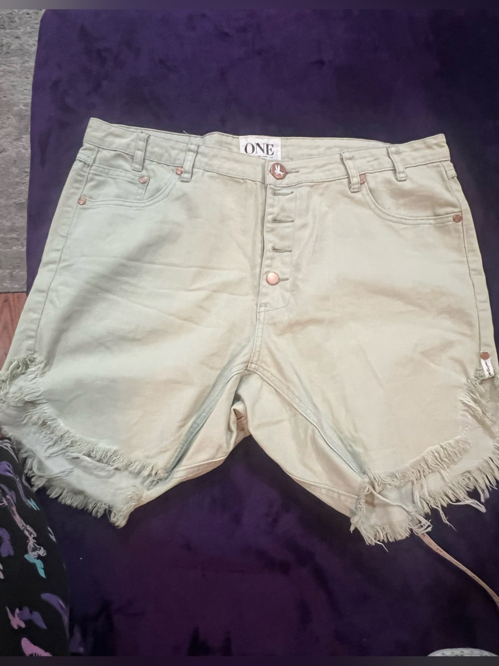 One Teaspoon Sage Green Frayed Hem Denim Shorts. M4